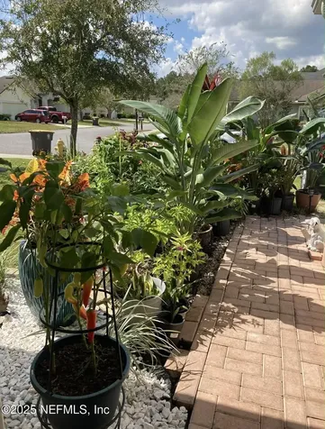 6881 Morse Oaks Drive Jacksonville FL 32244