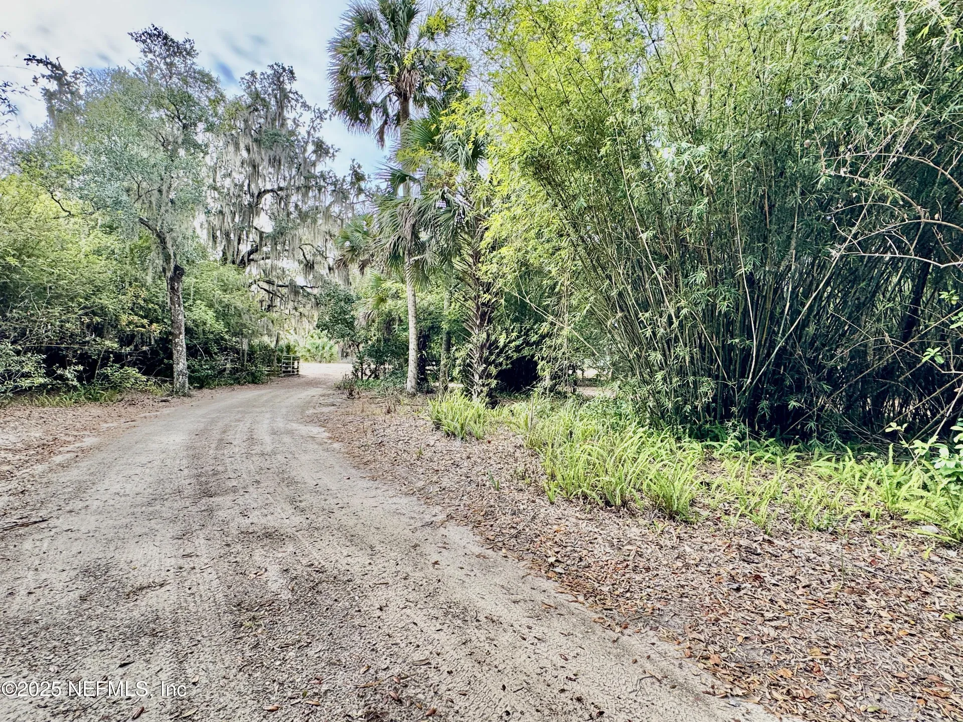 25025 SE 101st Avenue Hawthorne FL 32640