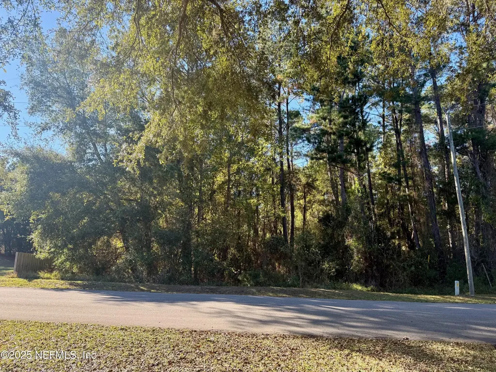 126 Ramsey Drive Grandin FL 32138