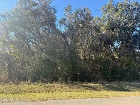 126 Ramsey Drive Grandin FL 32138