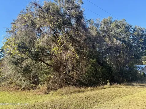 126 Ramsey Drive Grandin FL 32138