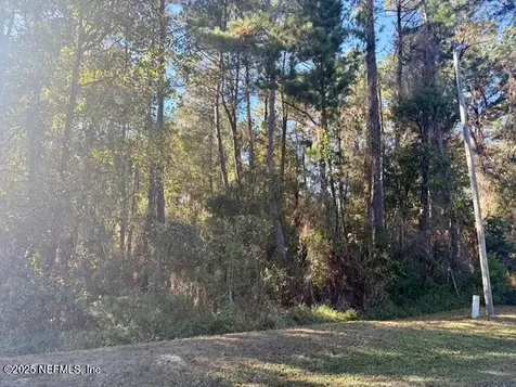118 Ramsey Drive Grandin FL 32138