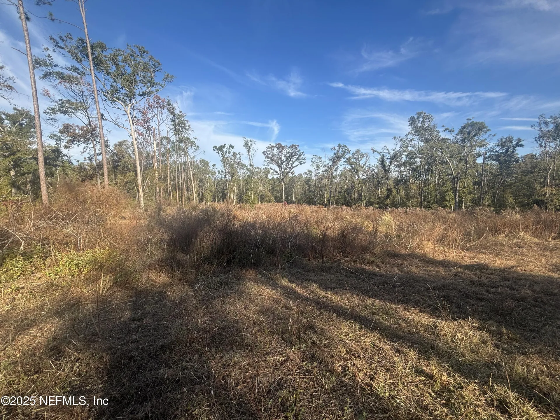 000 NW 28th Avenue Jennings FL 32053