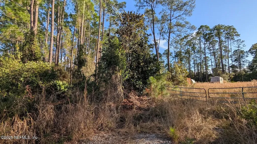 113 White Pine Lane Georgetown FL 32139