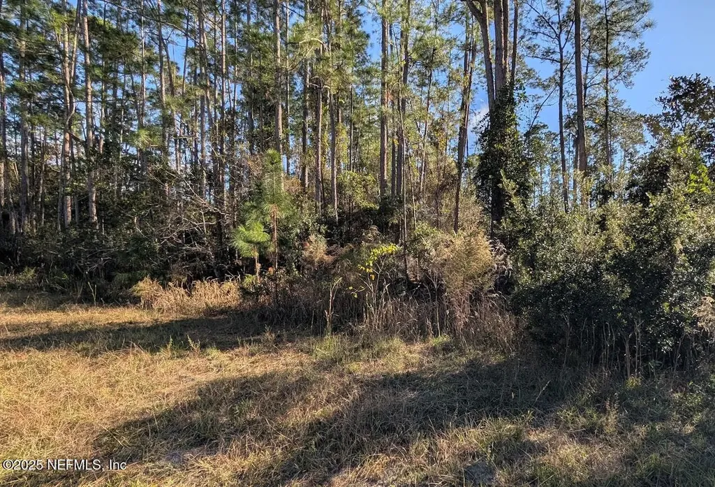 113 White Pine Lane Georgetown FL 32139