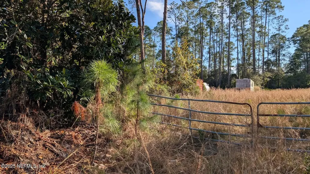 113 White Pine Lane Georgetown FL 32139