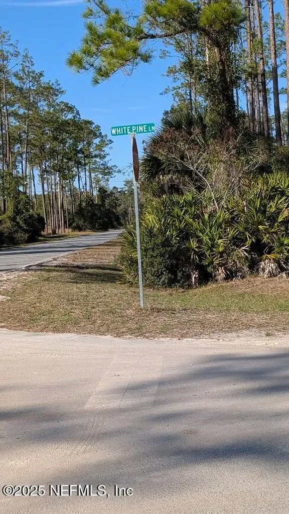113 White Pine Lane Georgetown FL 32139