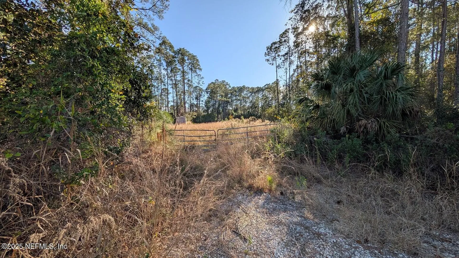 113 White Pine Lane Georgetown FL 32139
