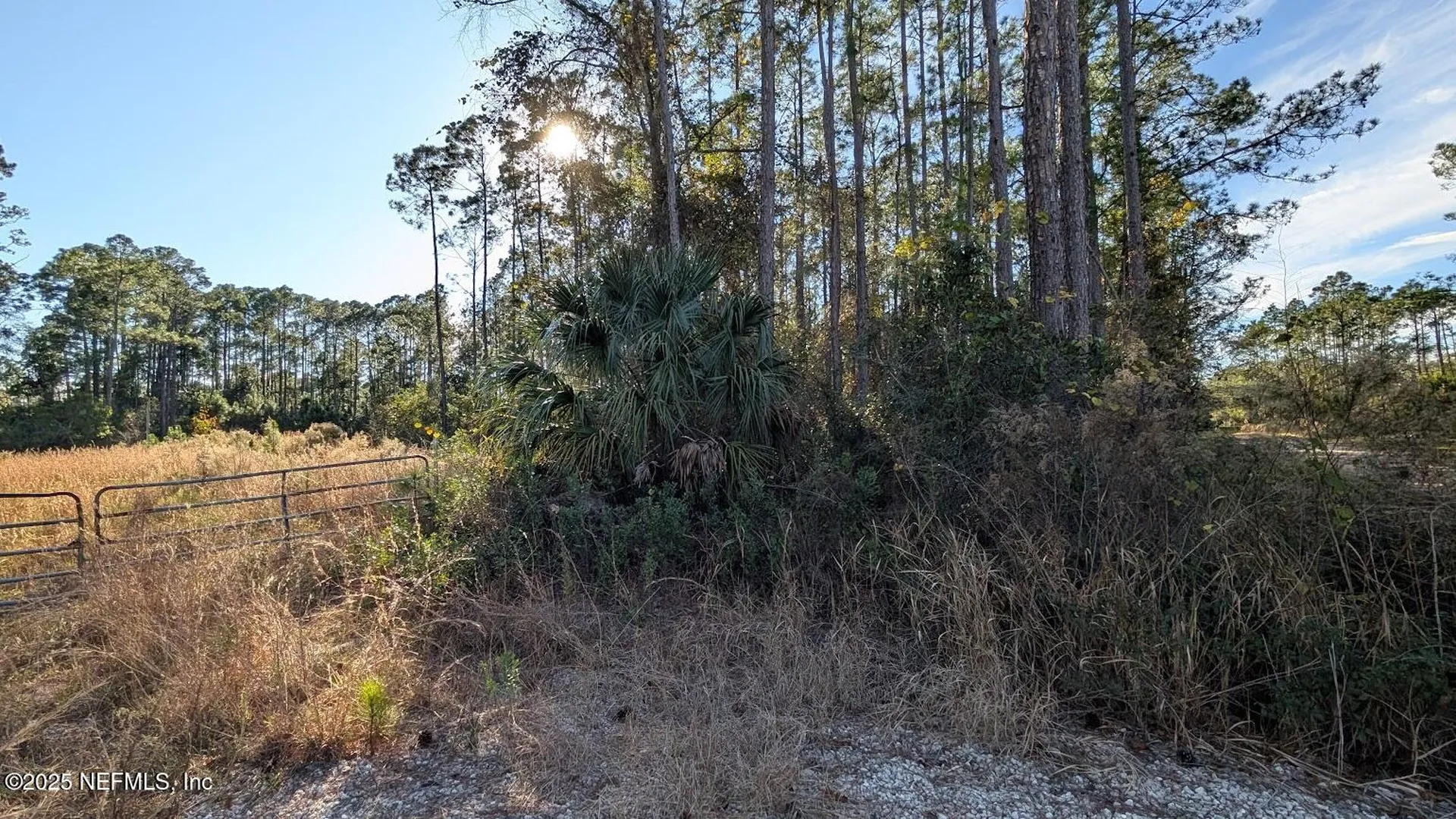 113 White Pine Lane Georgetown FL 32139