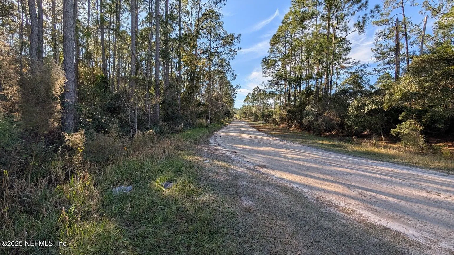 113 White Pine Lane Georgetown FL 32139