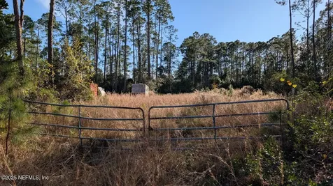 113 White Pine Lane Georgetown FL 32139