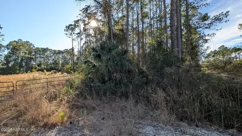 113 White Pine Lane Georgetown FL 32139