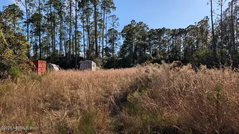 113 White Pine Lane Georgetown FL 32139