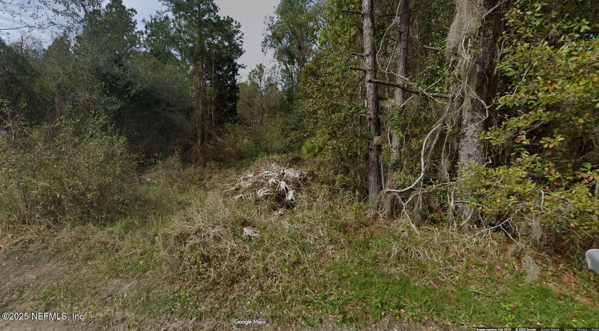 137 Big Apple Road East Palatka FL 32131