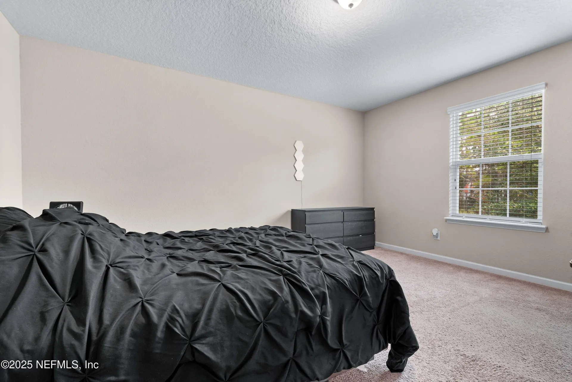 15815 Douglas Lake Drive Jacksonville FL 32218