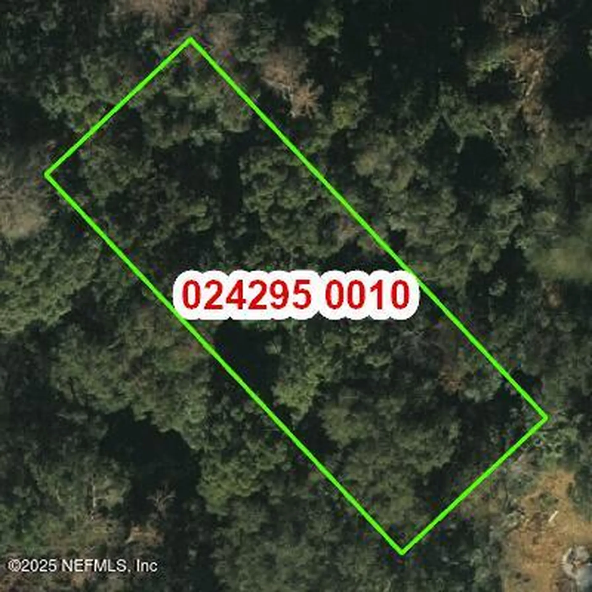 0 Rutledge Oaks Lane Jacksonville FL 32208