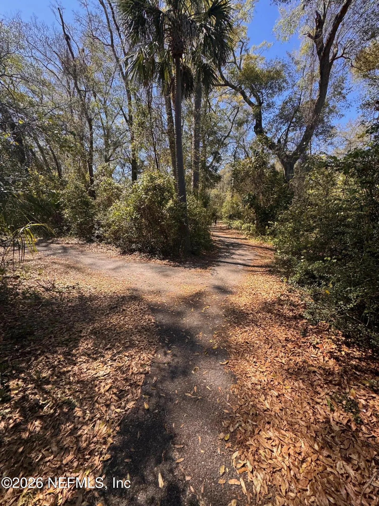 95101 Dwight Drive Fernandina Beach FL 32034