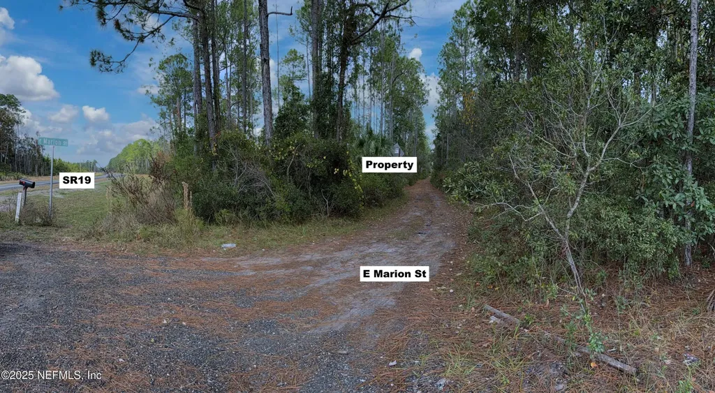 00 E Marion Street Palatka FL 32177