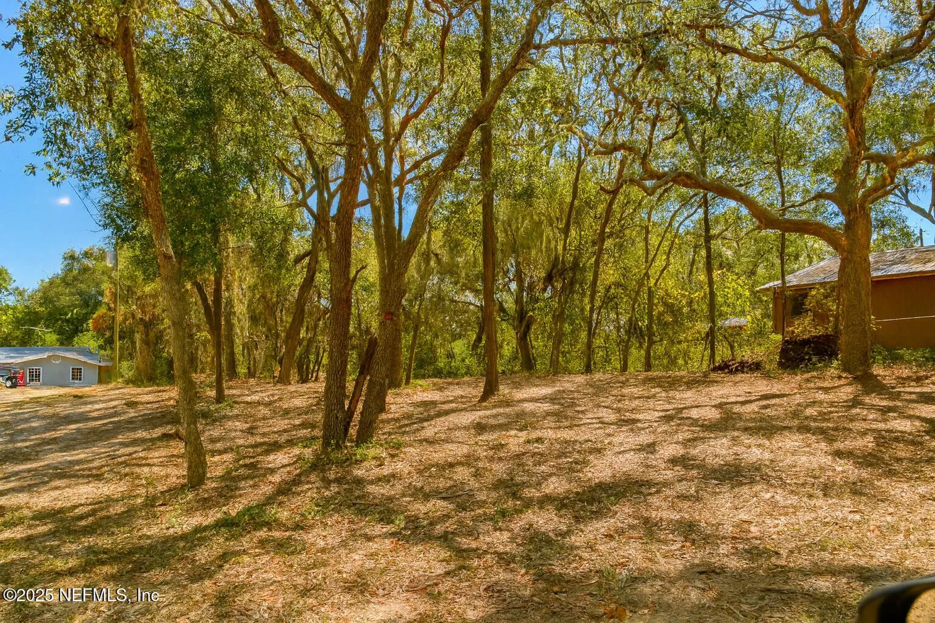 7043 Gatorbone Road Keystone Heights FL 32656