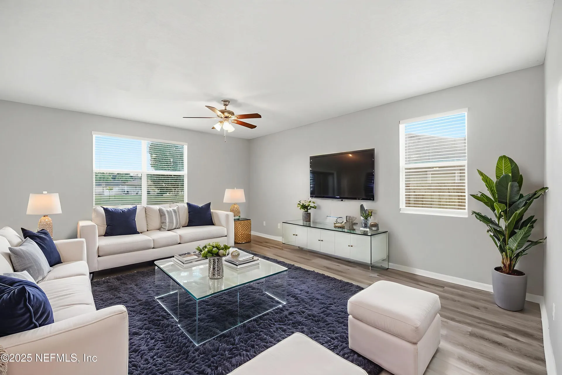 3252 Canyon Falls Drive Green Cove Springs FL 32043