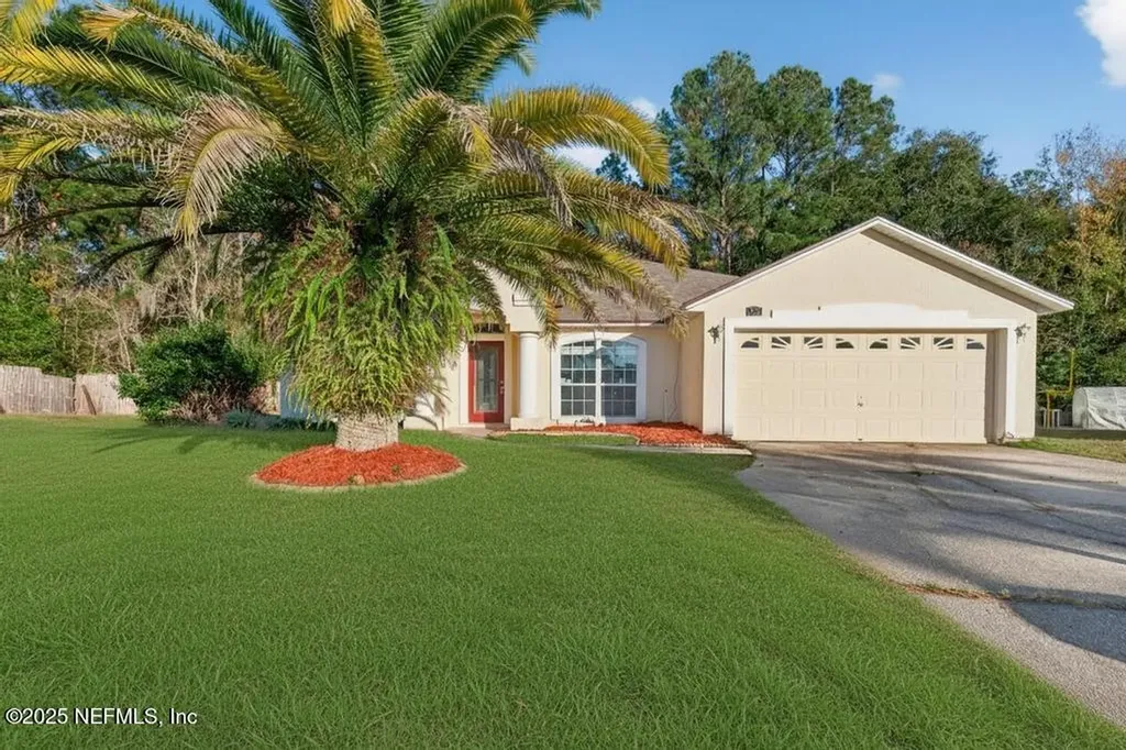 3250 Hammock Cove Court Middleburg FL 32068