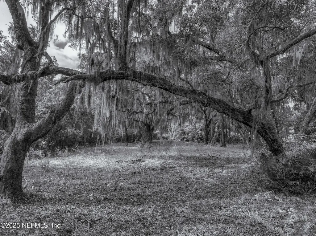 13550 N County Road 13 St. Augustine FL 32092