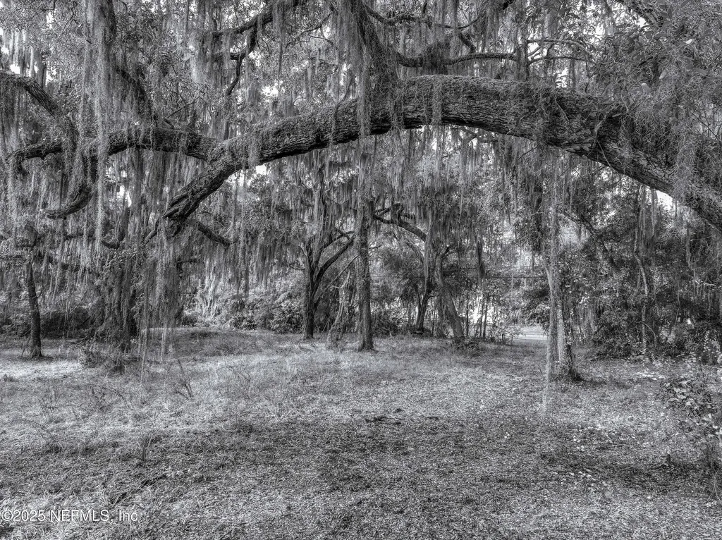 13550 N County Road 13 St. Augustine FL 32092