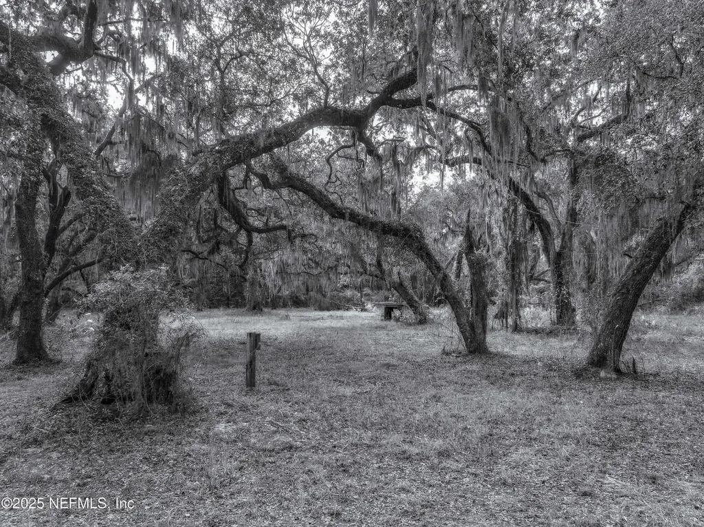 13550 N County Road 13 St. Augustine FL 32092