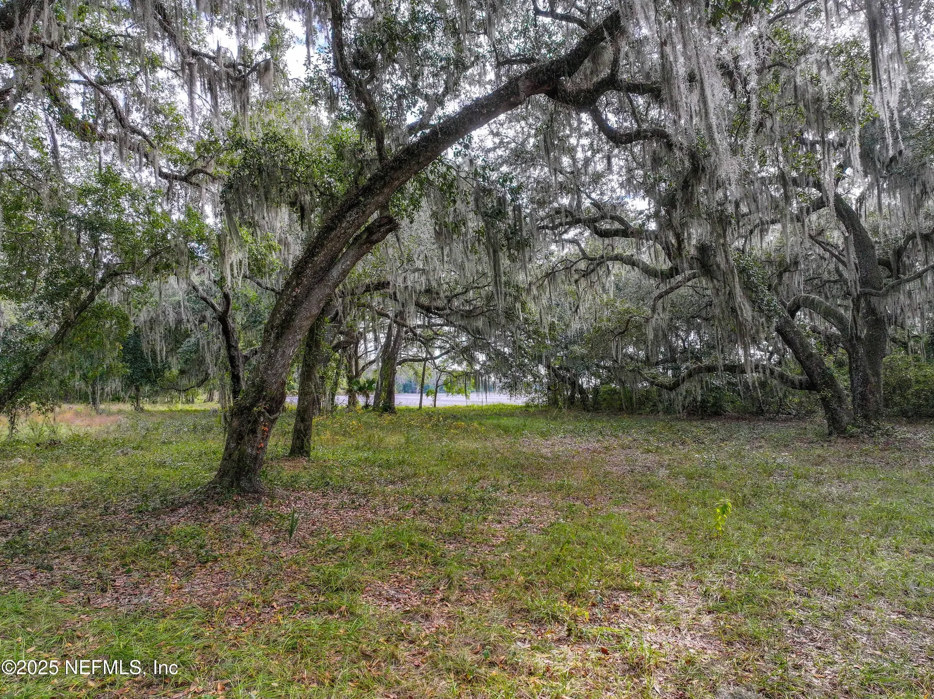 13550 N County Road 13 St. Augustine FL 32092