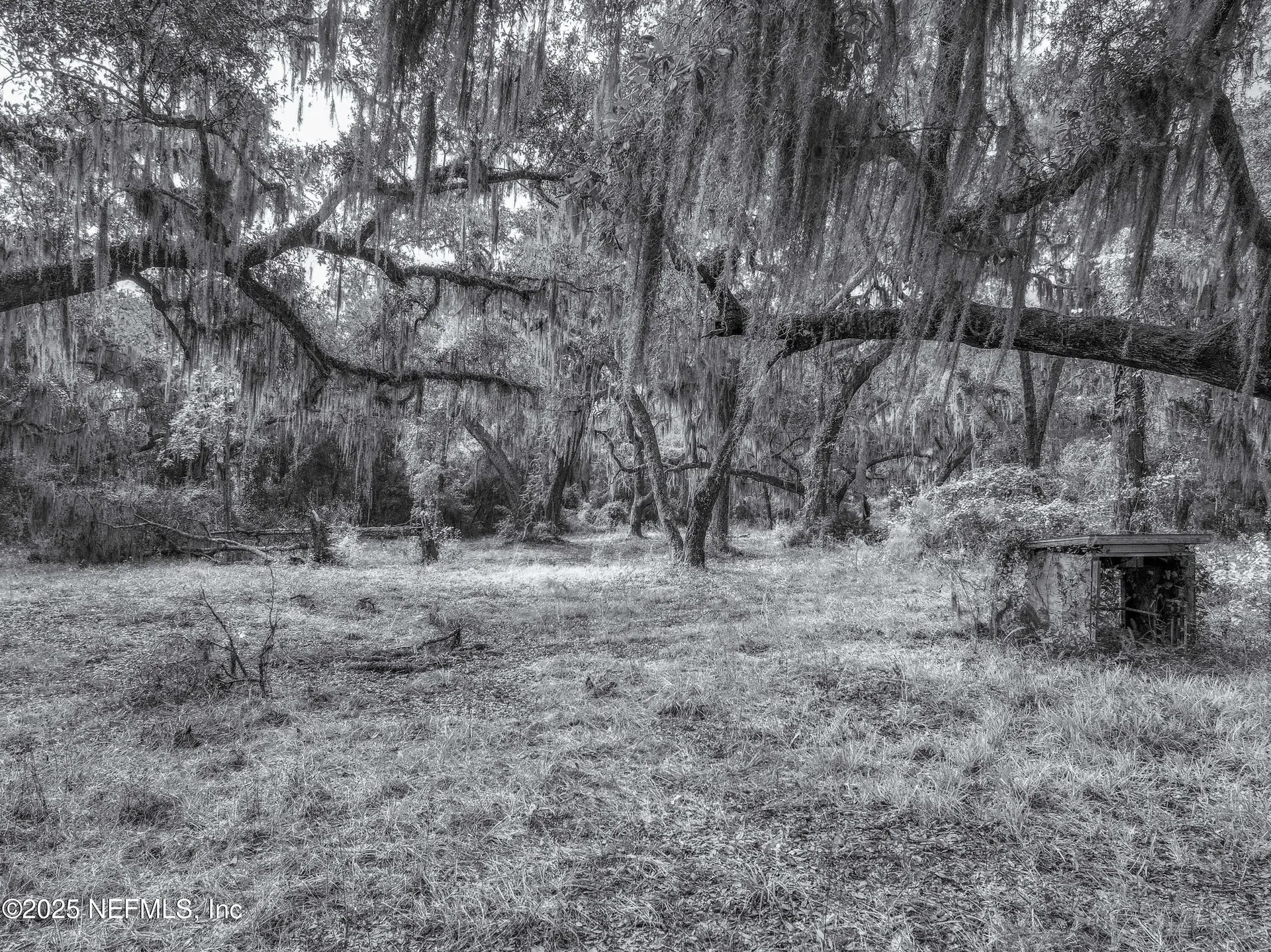 13550 N County Road 13 St. Augustine FL 32092