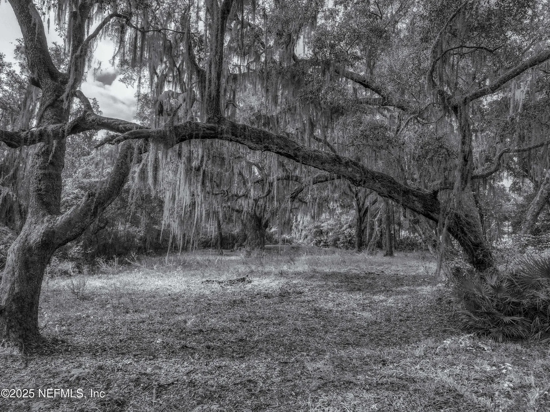 13550 N County Road 13 St. Augustine FL 32092