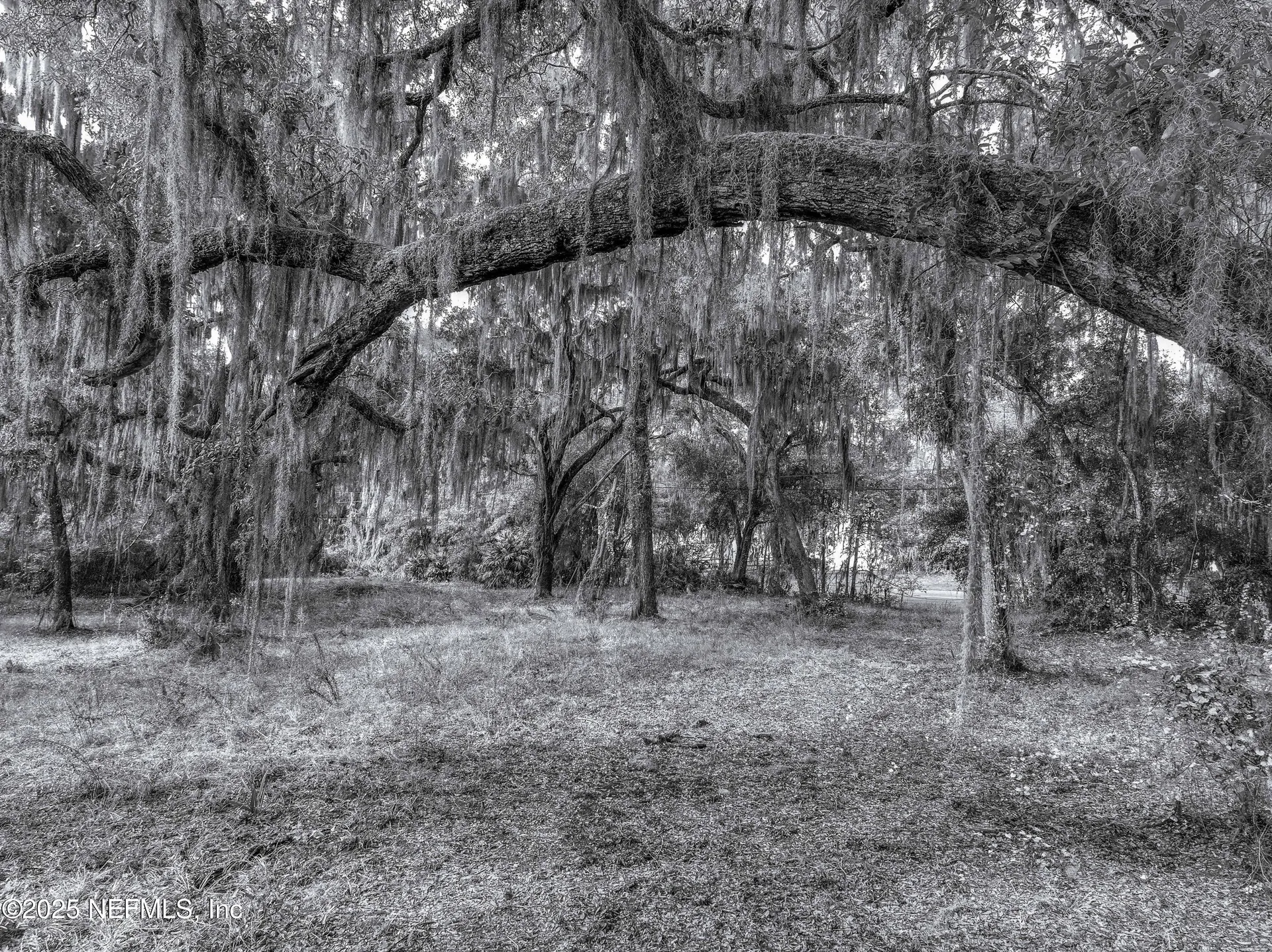 13550 N County Road 13 St. Augustine FL 32092