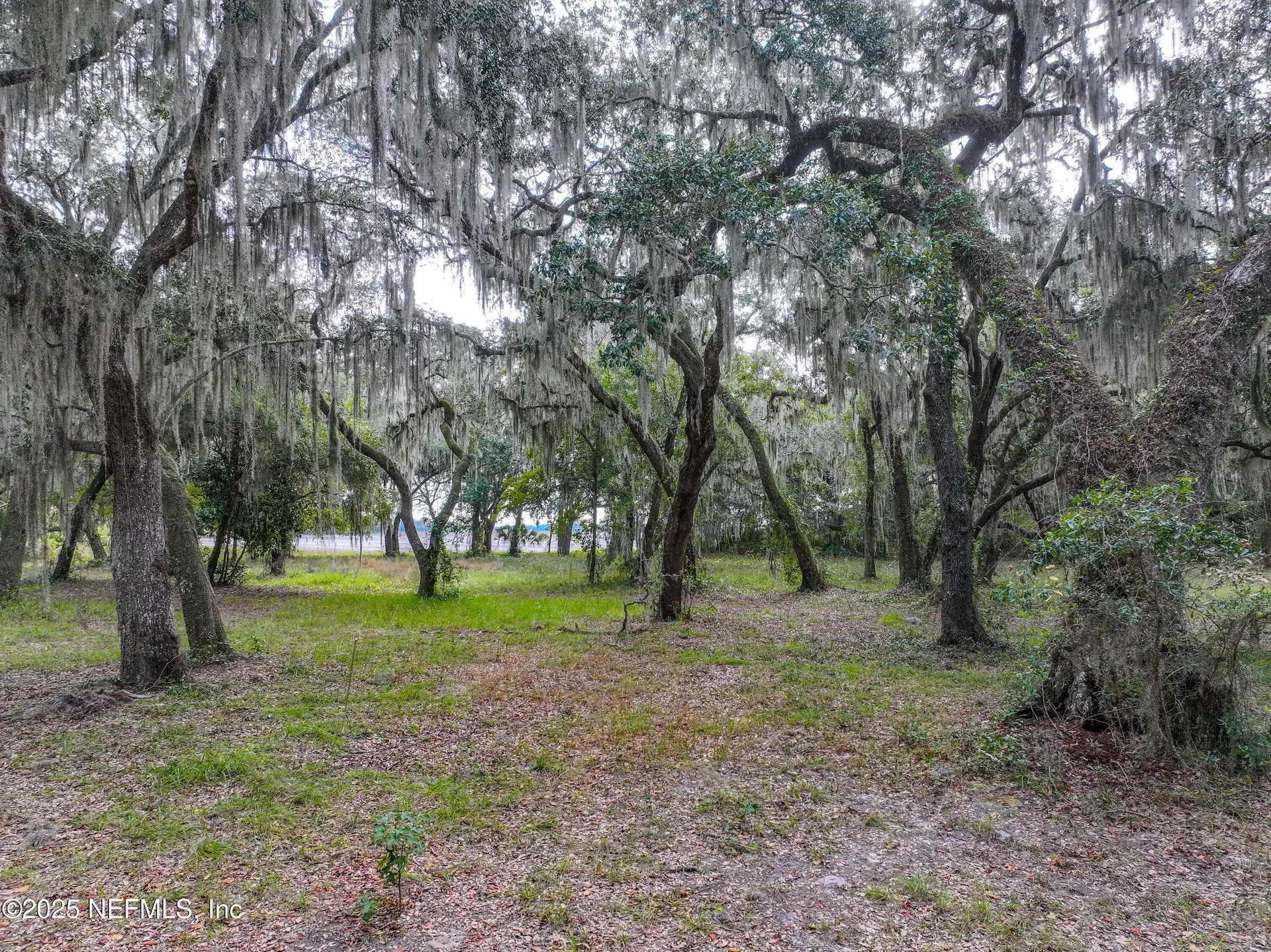 13550 N County Road 13 St. Augustine FL 32092