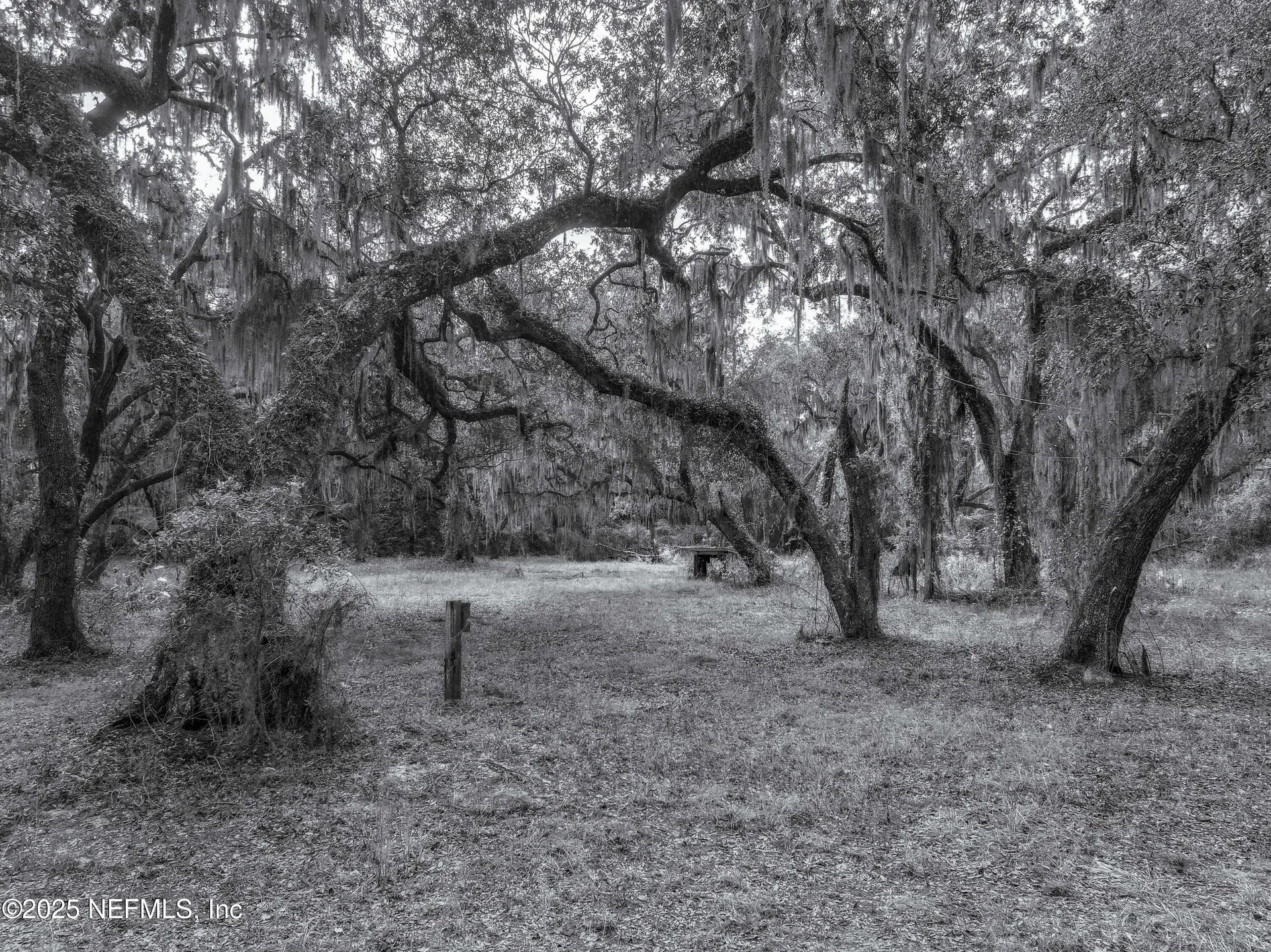 13550 N County Road 13 St. Augustine FL 32092