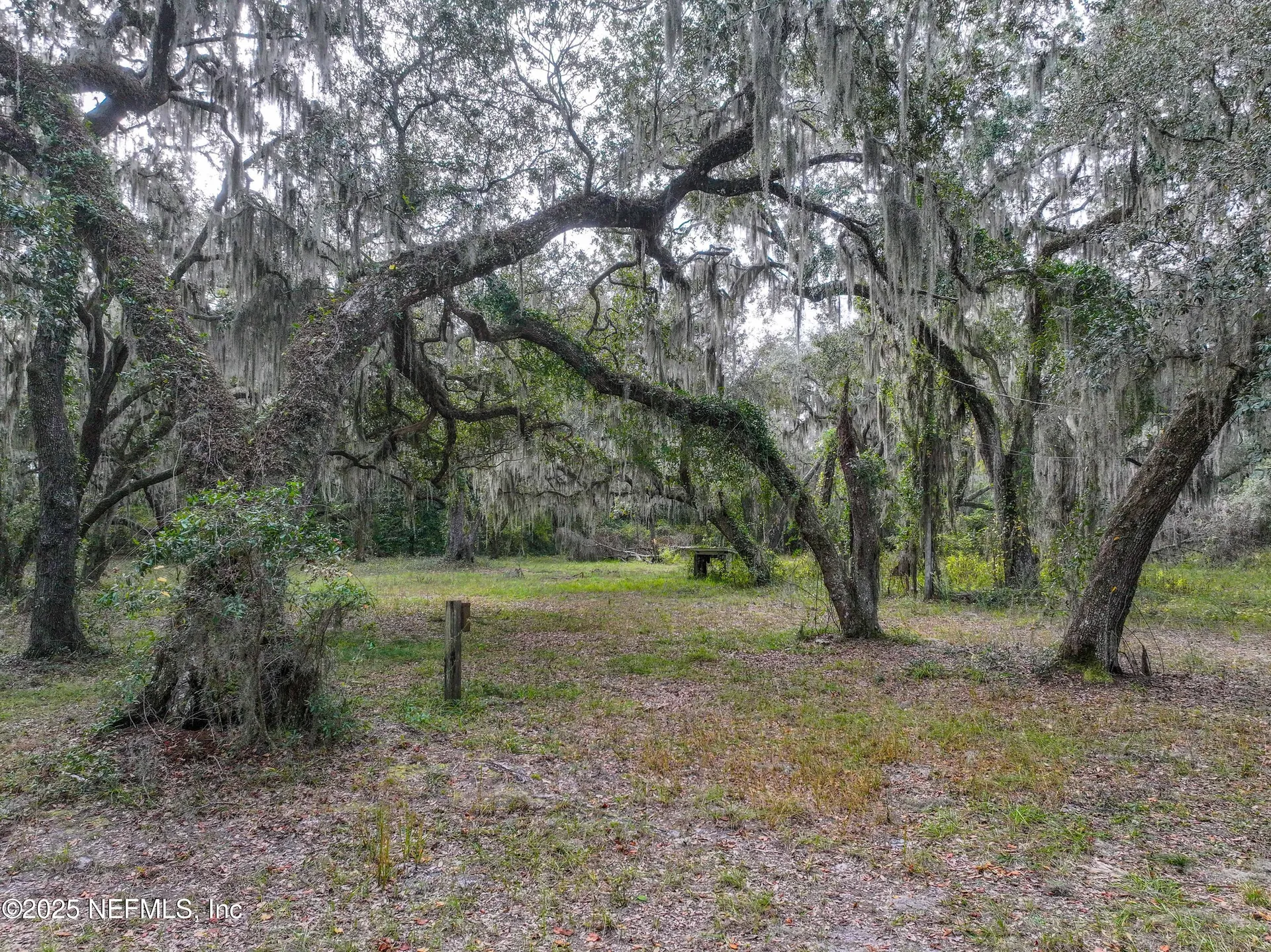 13550 N County Road 13 St. Augustine FL 32092