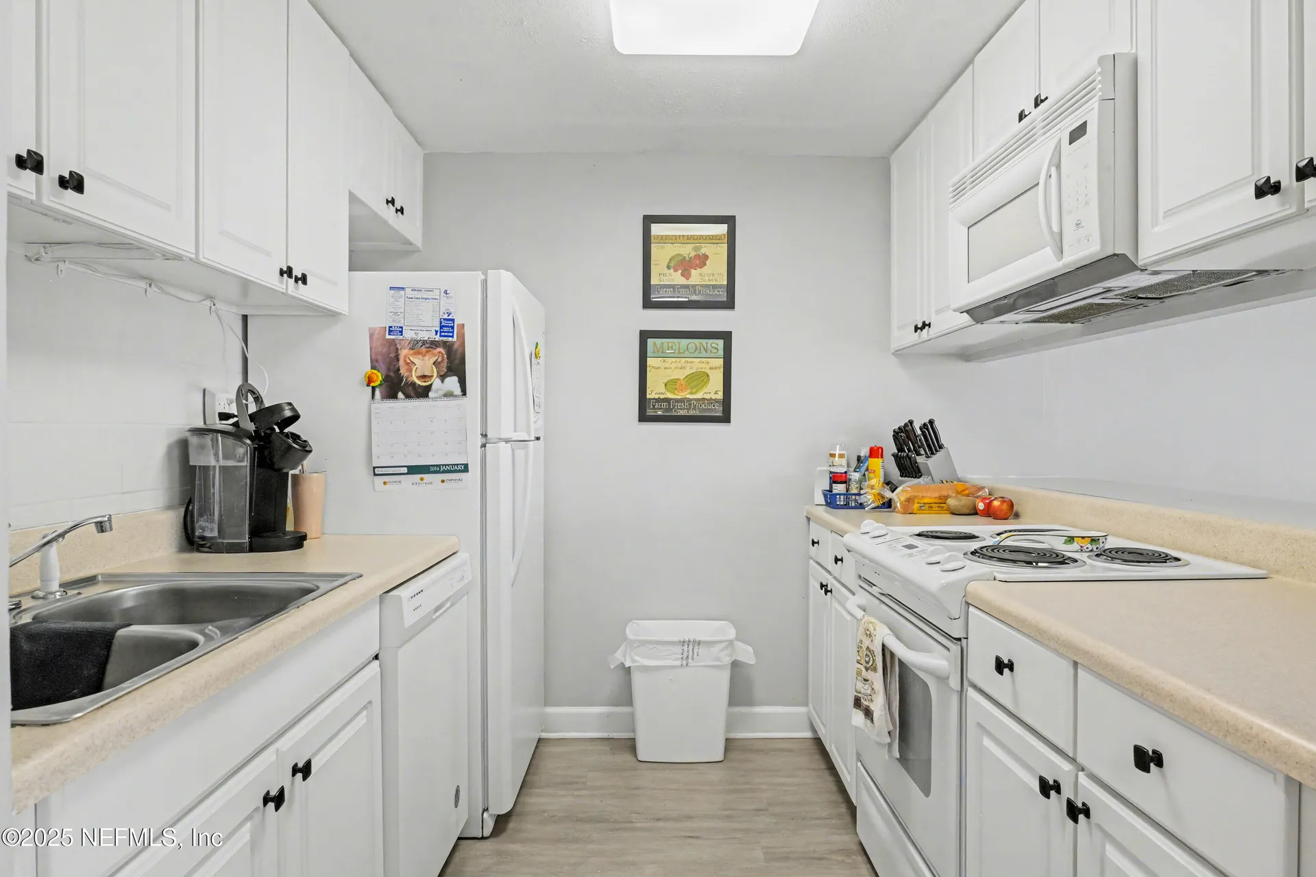 102 River Bend Court Welaka FL 32193