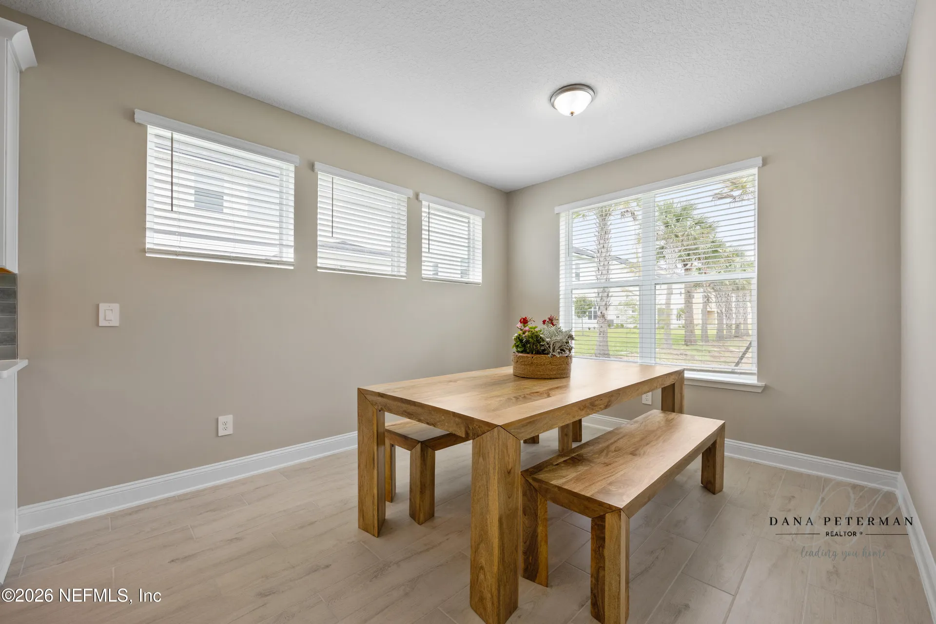 205 Seaside Vista Court St. Augustine FL 32084