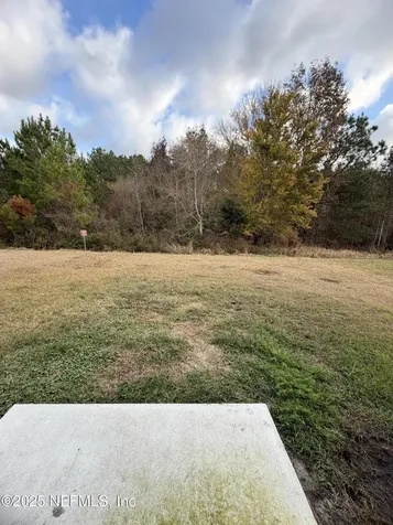 12853 Cacao Tree Trail Jacksonville FL 32218