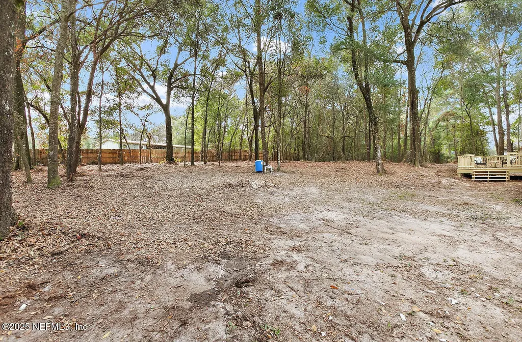 66 Panda Avenue Middleburg FL 32068