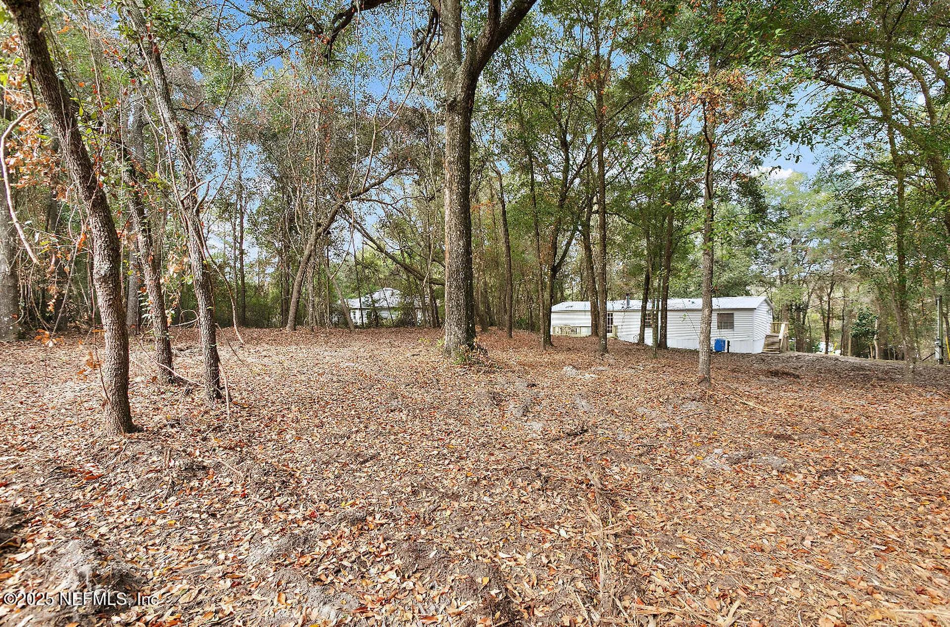 66 Panda Avenue Middleburg FL 32068