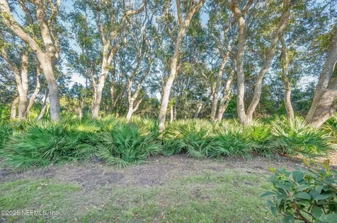 284 San Nicolas Way St. Augustine FL 32080