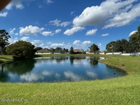 1837 Creekview Drive Green Cove Springs FL 32043