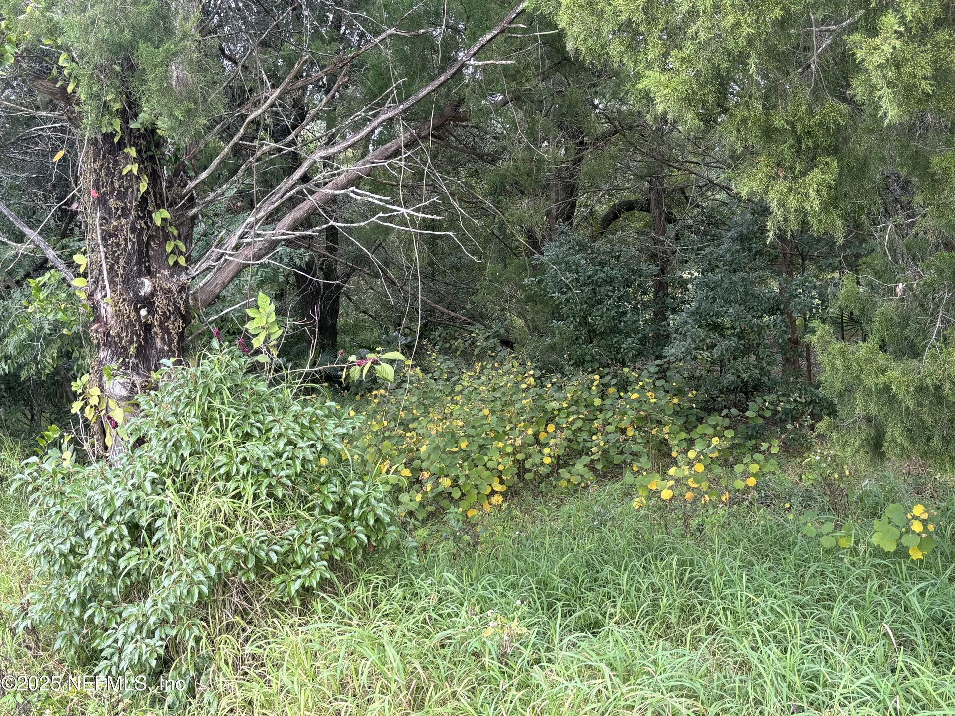3319 Golden Gem Road Apopka FL 32712