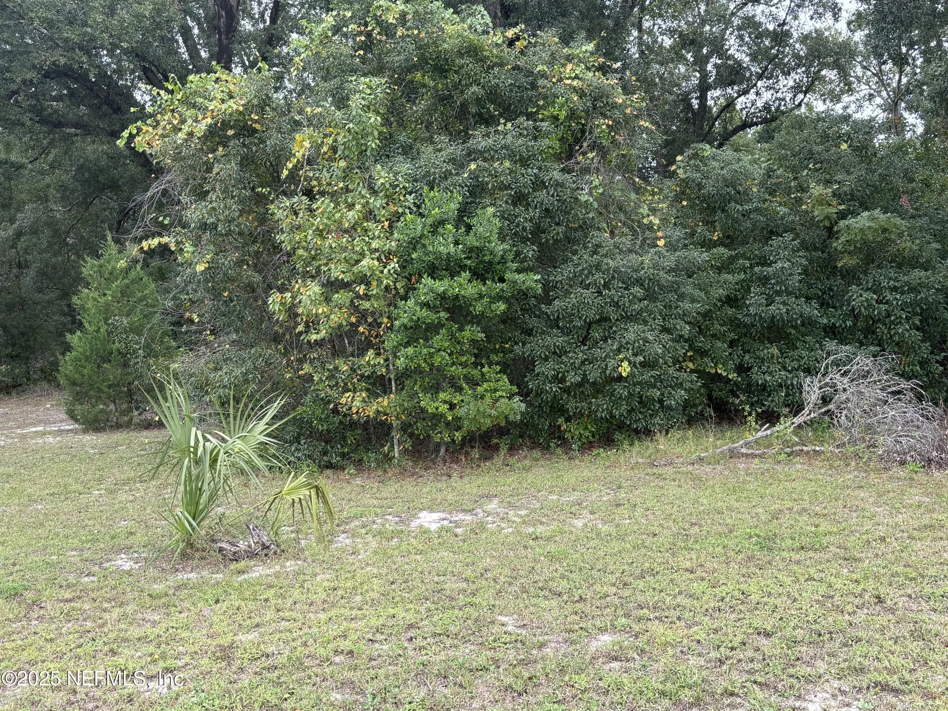 3319 Golden Gem Road Apopka FL 32712