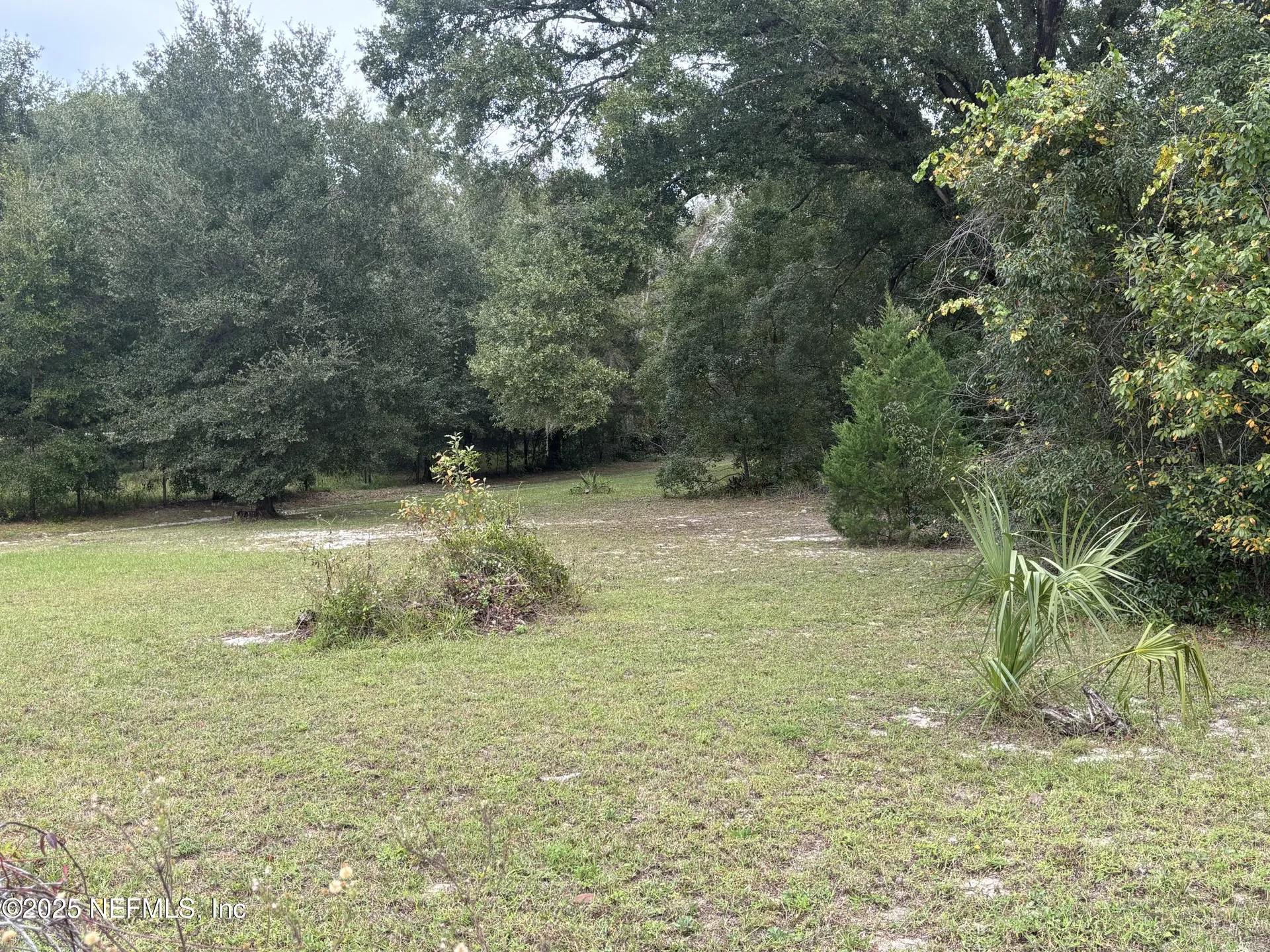 3319 Golden Gem Road Apopka FL 32712
