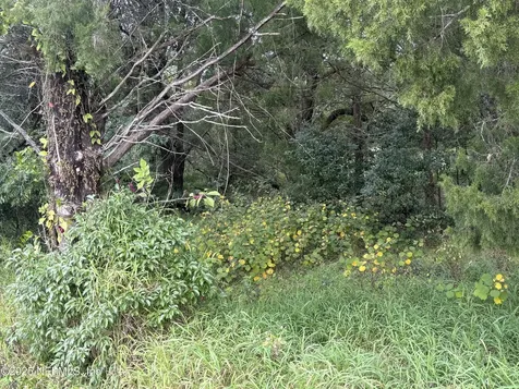 3319 Golden Gem Road Apopka FL 32712
