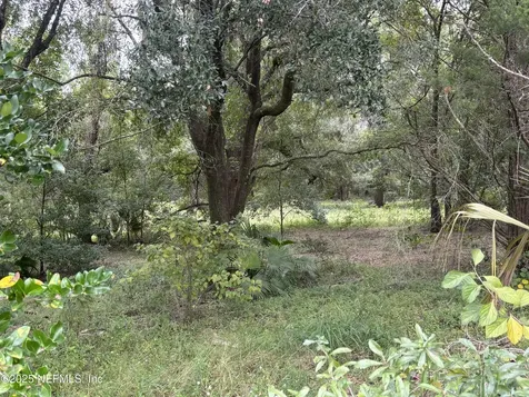 3319 Golden Gem Road Apopka FL 32712