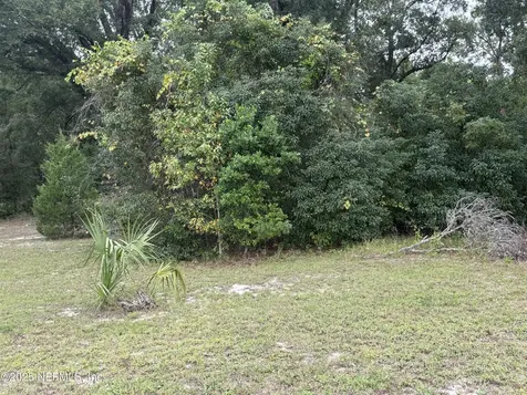 3319 Golden Gem Road Apopka FL 32712