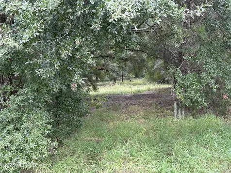3319 Golden Gem Road Apopka FL 32712