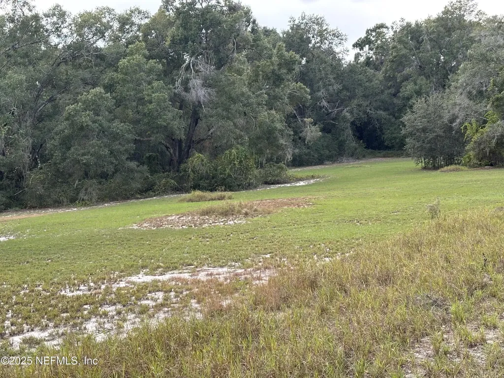 3325 Golden Gem Road Apopka FL 32712